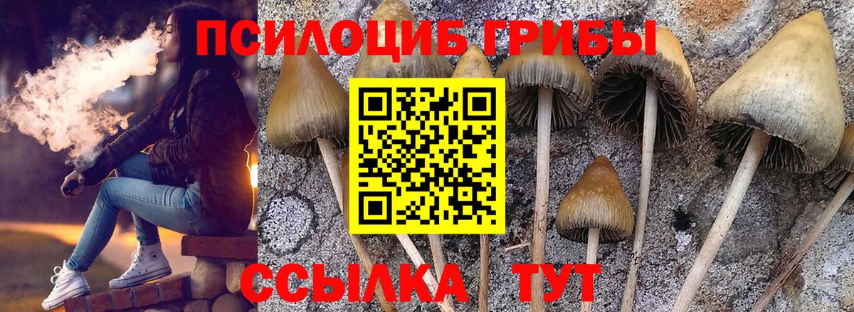 Псилоцибиновые грибы GOLDEN TEACHER Калининград