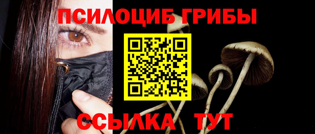 Галлюциногенные грибы мухоморы  Вход с VPN  Калининград  Галлюциногенные грибы Cubensis 